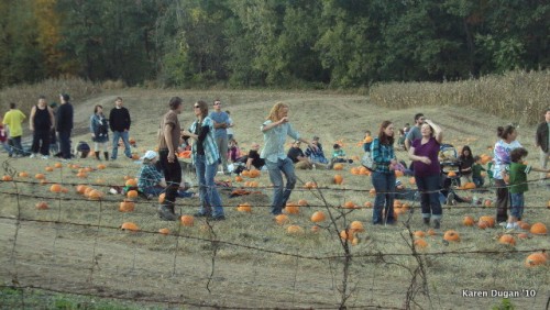 Hippies dancing in the pumpkin fields