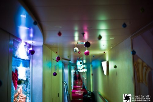 A typical hallway on Jam Cruise (Photo by Chad Smith)